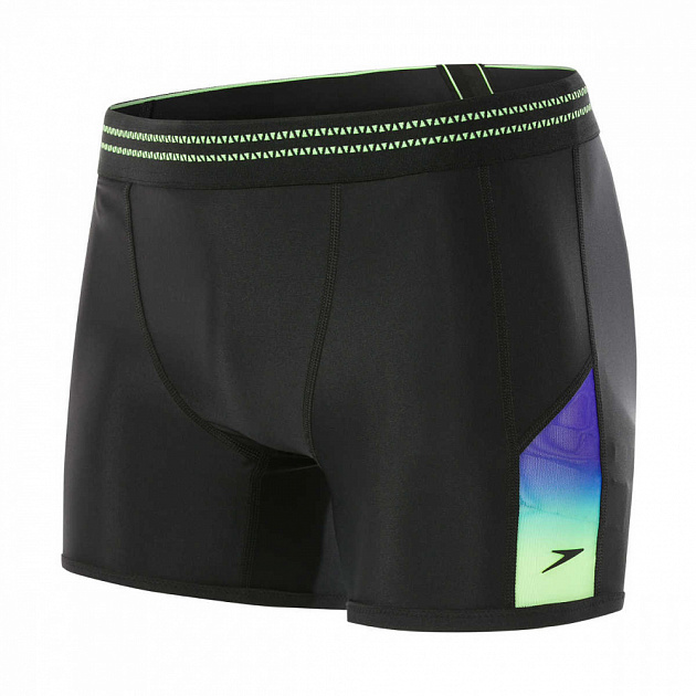 Speedo on sale aqua shorts